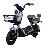Vélo Électrique Urbain Adulte en Gros d'Usine, Moteur Arrière 500W, Batterie au Plomb, 3 Vitesses, Haute Vitesse, Deux Roues, Électronique
