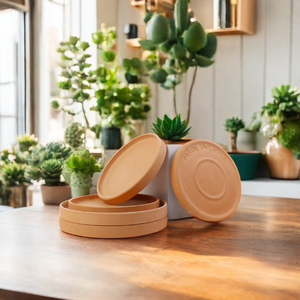 Pot de plantes succulentes en terre cuite de style moderne avec soucoupe <span class=keywords><strong>poterie</strong></span> en céramique de petite taille pour la décoration des jardins intérieurs - Product Image 5