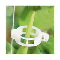 Offre Spéciale Agriculture plante Clips tomate/concombre/poivre plante Clips serre plantes suspendues crochets