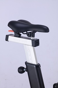 <span class=keywords><strong>Fitness</strong></span> d'assaut de vélo d'air commercial résistant populaire avec la meilleure qualité et le prix concurrentiel - Product Image 6