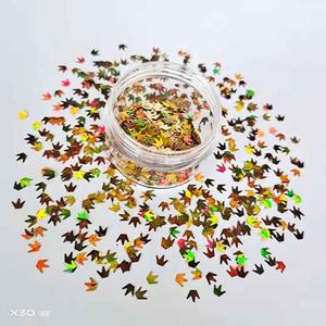 Poudre de cristal holographique dorée pour nail art <span class=keywords><strong>2023</strong></span>, forme hexagonale/carrée de 6 mm, anti-bactérienne, accessoires de fête tendance - Product Image 5