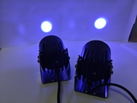 Nouveaux ensembles de couleurs personnalisés, lumière laser LED RGB, fouet lumineux pour voiture, lumières laser LED RGBW, télécommande avec fil