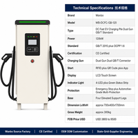 Station de recharge rapide DC double pistolet Wanbo-569 GB/T 120 kW CE OCPP 1.6 pour usage public – Direct Usine
