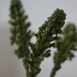 Промие Строительство/поезд/песочный стол/Студенческая Игрушечная модель/пудра дерево/дерево-3 - Product Image 6