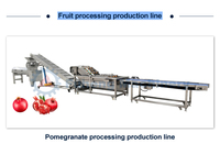 Máquina Exprimidora de Alta Eficiencia para Hacer Jugos de Frutas Comerciales, Máquina Exprimidora en Frío para Naranjas, Manzanas, Uvas, Mangos y Jengibre
