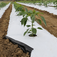 Rouleau de film de paillage noir et blanc 1,2 m x 1000 m en LDPE pour le contrôle des mauvaises herbes et la rétention de l'humidité