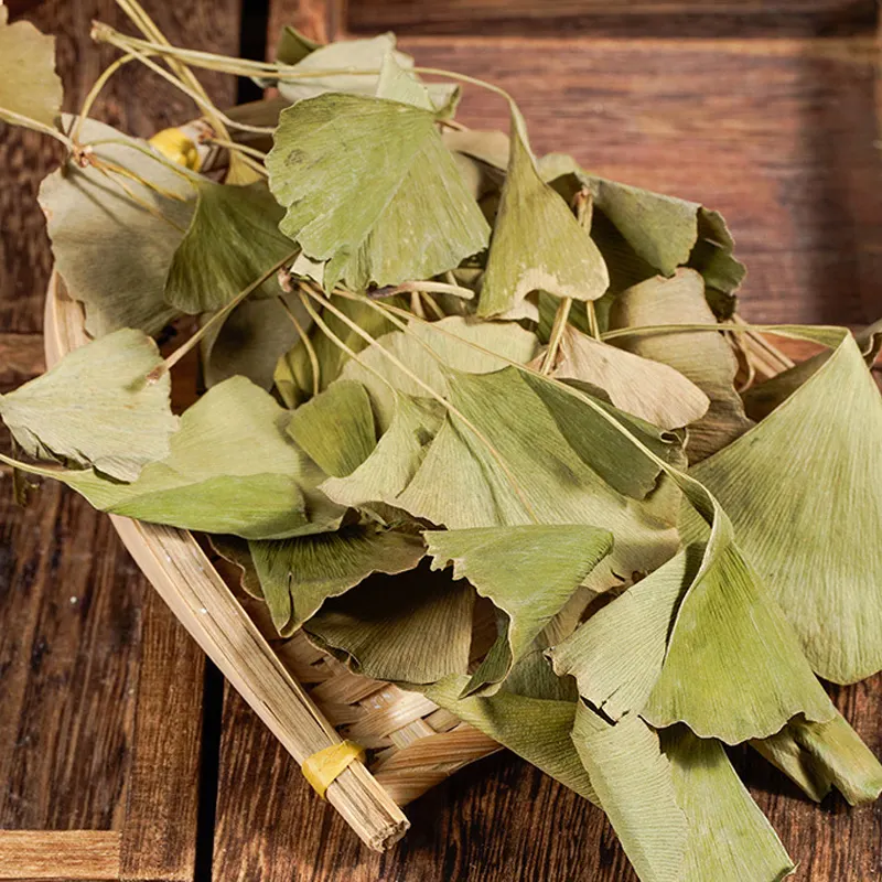 Buon prezzo all'ingrosso spezie foglia di Gingko foglia di Ginkgo Biloba essiccata a base di erbe