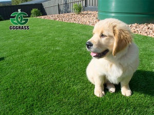 Thảm cỏ nhân tạo xanh hoàn toàn, chất lượng cao cấp, sản xuất tại nhà máy, bán trực tiếp, trang trí sân vườn bằng nhựa - Product Image 5