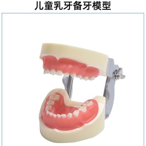 Modelo de preparación dental para niños de 24 dientes, marco de aluminio, dientes de resina, 102x92x68mm, para educación dental - Product Image 4