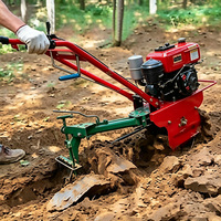 Mini Rotary Tiller diesel Power Tiller Mini Traktor Oruga Mini Walking Tractor Mini Traktor Kultivator Mini Tiller