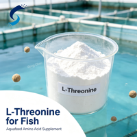 L-Thréonine 98,5% Haute Pureté Qualité Alimentaire Certifié ISO 9001 Fabricant d'Acides Aminés Gongchen CAS 72-19-5