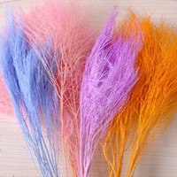 Eeuwige Bloem Steengras Dromerig Gras Lang Haar Gras Ins Stijl Bruiloft Accessoires Huisdecoratie