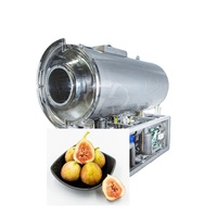 Volledig automatische machine voor het vriesdrogen van hele dadels voor de productie van natuurlijk zoet fruit