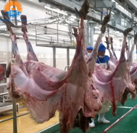 Línea de Sacrificio Halal para Ovejas, Equipo Automático para Mataderos de Cabras, Proyecto Llave en Mano, Máquina de Sacrificio Islámico de Alta Capacidad