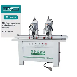 DTMACH automatic horizontal wood double heads multi spindle hinge boring machine drilling machine for door