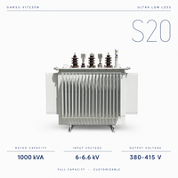 Transformateur de distribution immergé dans l'huile S20 6,6 kV Triphasé 1000 kVA Économie d'énergie Faible perte Bobinage en cuivre 50 Hz Gansu Vitesen
