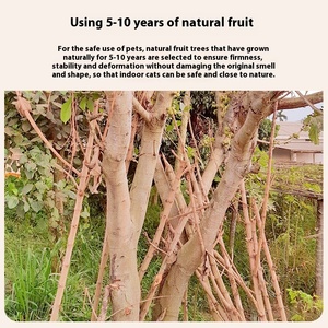 Di lusso in legno massello albero gatto integrato nido e salto piattaforma arrampicata Rack e afferrare colonna giocattolo per gatti confezionati in cartone - Product Image 2