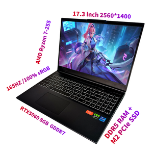 17.3英寸AMD Ryzen 7-255 RTX5060 8gb 64gb GDDR7 DDR5内存M2 PCIe 2TB 4TB固态硬盘2560*1400 165hz WIFI 6 Windows 11游戏笔记本电脑 - Product Image 1