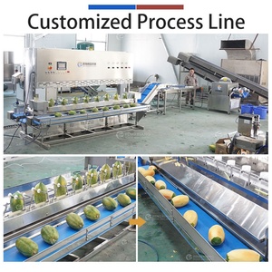 Línea de Pelado y Corte de Papaya de 1000-2000 kg/h, Máquina Peladora de Papaya de Acero Inoxidable de Grado Alimenticio - Product Image 2