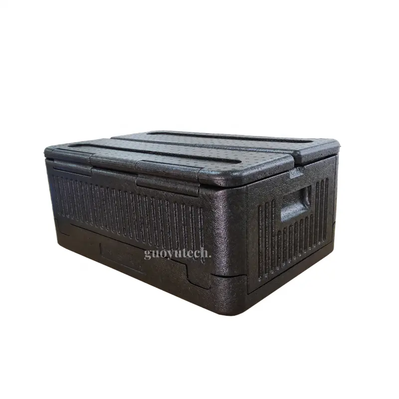 कम कीमत वाला पर्यावरण-अनुकूल खाद्य ईपीपी इंसुलेटेड बॉक्स हल्के कार कूलर बॉक्स