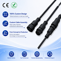 Harness Kabel Tahan Air OEM untuk Kendaraan Bermotor & Sepeda Motor Kendaraan Energi Baru dengan Bahan PVC/Nylon