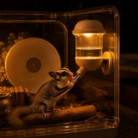 Bouteille d'eau magnétique 170 ml avec lumière LED télécommandée, abreuvoir anti-goutte pour petits animaux, décoration de cage pour petaugeur