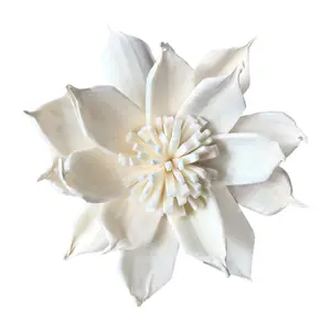 Thiên Nhiên Thon Cao Gardenia Handmade Hương Liệu Hoa Khô Với Sợi Mây Stick Hoa Phụ Kiện Sắp Xếp