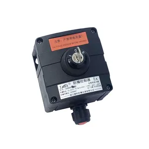 Small outdoor waterproof IP65 66 industry control panel push button explosion proof key switch