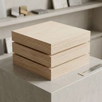 Contrachapado de Abedul de 18 mm, 4x8 pies, Grado B/BB, Resistente al Agua, con Pegamento Fenólico WBP, para Corte CNC de Precisión y Gabinetes de Cocina