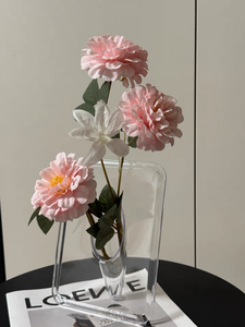 Vaso da tavolo in acrilico trasparente di tendenza 2025 moderno Design nordico <span class=keywords><strong>Chic</strong></span> elegante decorazione per la <span class=keywords><strong>casa</strong></span> per salotti minimalisti - Product Image 5
