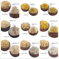 Ligne de production automatique de snacks 2D et 3D, extrudeuse de granulés 2D et 3D, équipement de transformation alimentaire