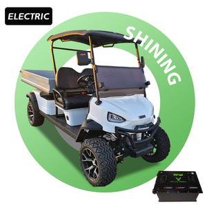 بطارية ليثيوم shiningls72 V 4WD قابلة للتخصيص 2 مقاعد حمولة كبيرة 5 كيلو وات 70-90 نطاق سرعة 30-50 كم/ساعة - Product Image 1