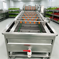 Aanpasbare luchtbelletjes groente- en fruitwasmachine voor restaurants, kantines, centrale keukens en voedselverwerkingsapparatuur