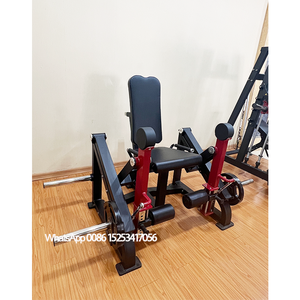 2025 nouvelles machines <span class=keywords><strong>de</strong></span> gymnastique à domicile double plaque combinée chargée extension <span class=keywords><strong>de</strong></span> jambe latérale Iso/<span class=keywords><strong>mouvements</strong></span> indépendants <span class=keywords><strong>de</strong></span> boucle <span class=keywords><strong>de</strong></span> jambe sujette - Product Image 3