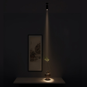 Design élégant 3 °   Spots contemporains à angle étroit <span class=keywords><strong>pour</strong></span> plafonds hauts, CRI élevé, <span class=keywords><strong>luminaire</strong></span> sur <span class=keywords><strong>rail</strong></span> unique <span class=keywords><strong>pour</strong></span> vitrine - Product Image 5
