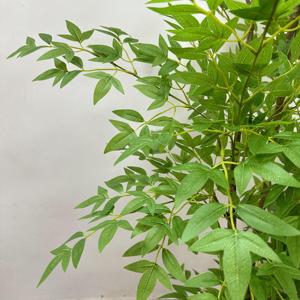 Vente chaude <span class=keywords><strong>Nandina</strong></span> Plantes Artificielles Élégance Réaliste Zéro Entretien Plante pour La Maison Table À Manger Cuisine Décor - Product Image 4