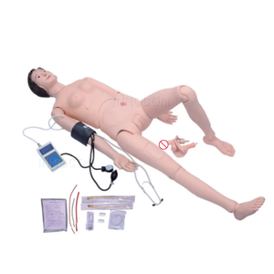 Manikin ทางการแพทย์สำหรับการพยาบาลกายวิภาคกับเครื่อง<span class=keywords><strong>วัด</strong></span><span class=keywords><strong>ความ</strong></span><span class=keywords><strong>ดัน</strong></span><span class=keywords><strong>โลหิต</strong></span>การสอนทาง<span class=keywords><strong>การ</strong></span>แพทย์วิทยาศาสตร์<span class=keywords><strong>การ</strong></span>แพทย์ - Product Image 6