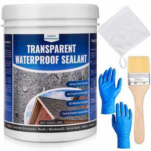 Modern Transparent <b>Waterproof</b> Coating Invisible <b>Waterproof</b> Sealant Eco-Friendly Durable Leak Repair Coating for Roof Wall Garden - Product Image 1