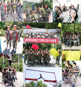 Заводская поставка 98% 99% экстракт магнолии Honokiol экстракт коры магнолии Honokiol - Product Image 6