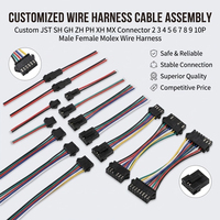 Konektor JST SH ZH PH XH Kustom 2 3 4 5 6 7 8 9 10P Male Female Molex Wire Harness Kabelbaum untuk Peralatan Kontrol Industri