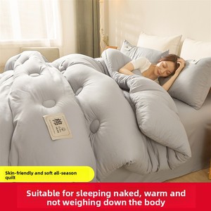Couette Étudiant Toutes Saisons en Fibre Synthétique Légère <span class=keywords><strong>et</strong></span> Rafraîchissante pour Climatisation, Épaisse <span class=keywords><strong>et</strong></span> Chaude, Insert de Couette Personnalisable pour Dortoir - Product Image 4