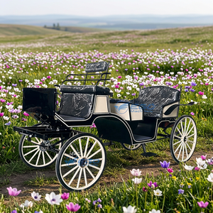 Fournisseur Direct Usine – Carrosse Électrique de Luxe Européen en Acier à 4 Roues, Taille Personnalisable, Haute Qualité pour Visites Extérieures - Product Image 1