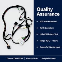 Kabel Harness Mobil Kustom OEM 12V 24V Tegangan Rendah Multi-Cabang Perakitan Kabel Otomotif IATF16949