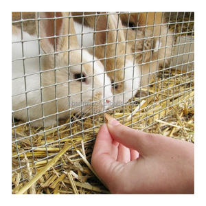 Vente chaude 1x1 2x2 rouleau de treillis métallique soudé vert PVC enduit clôture maille animaux Cages utiliser pour l'élevage de volailles de ferme - Product Image 3