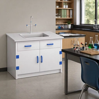 Évier de laboratoire professionnel SCEELAB en PP résistant aux produits chimiques avec robinet à 3 voies pour usage hospitalier, doté de dispositifs de sécurité