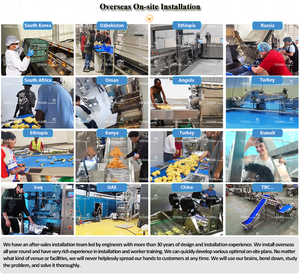 Ligne de production de frites de pommes de terre à petite échelle empilable, machine entièrement automatique pour la fabrication de frites de pommes de terre fraîches - Product Image 6