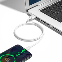 Produk Elektronik Kabel Transfer Data Ponsel Putih 2M USB Ke Kabel Pengisian PD Tipe C 12W