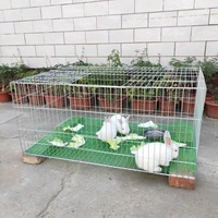 Cage pour animaux en fil galvanisé, cage d'élevage épaissie et renforcée, cage à lapins, cage à poulets, cage à pigeons