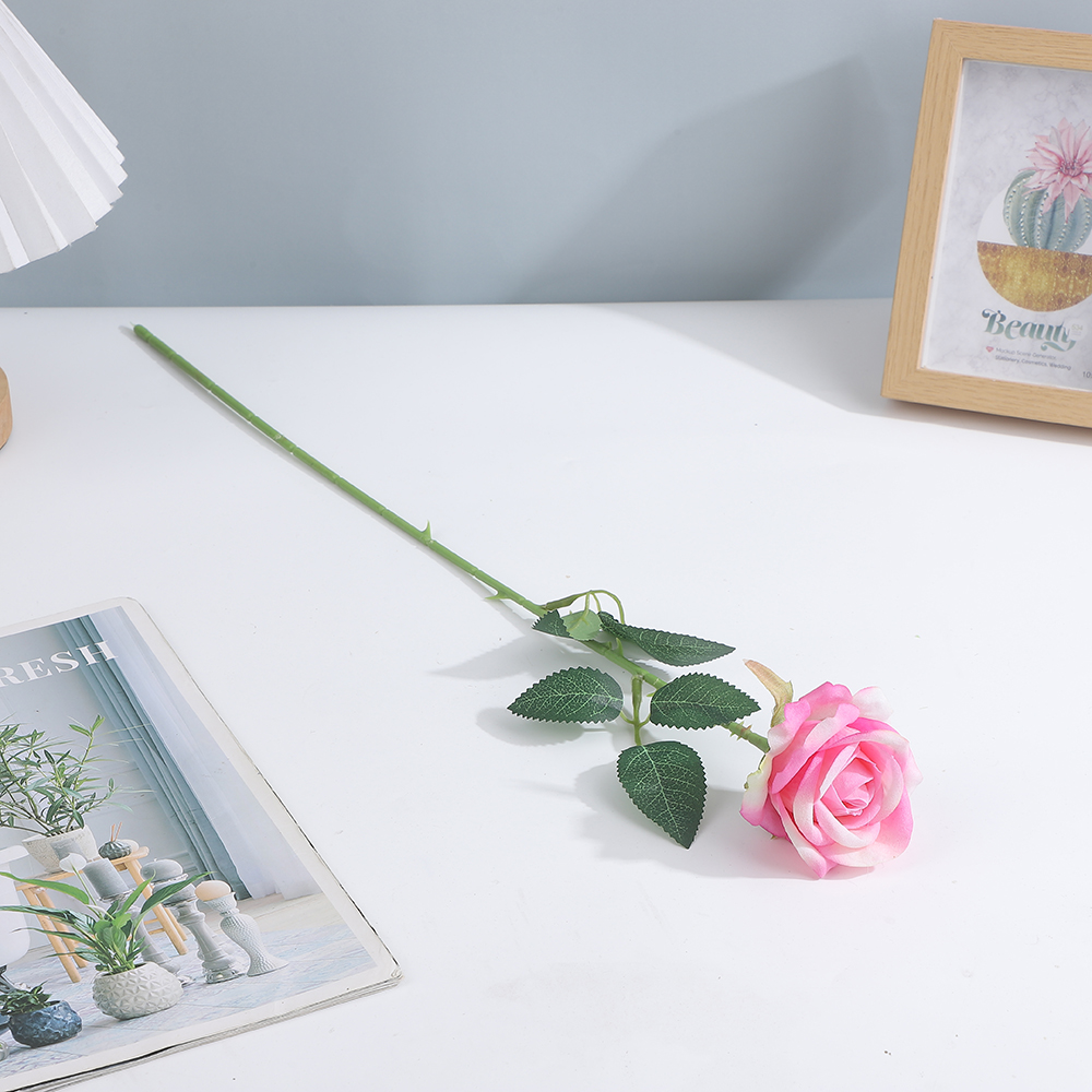Rose et blanc