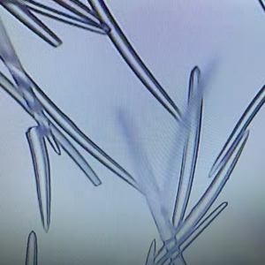 OEM ODM الأكثر مبيعاً علاج الوجه ميكرونيدلينغ حيوي مضاد للشيخوخة SQT Spongilla Spicules Biomicroneedling لعلاج صالون التجميل - Product Image 3